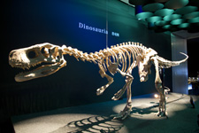 2010�N7���B�e