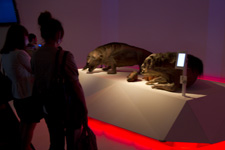 2010�N7���B�e