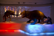 2010�N7���B�e