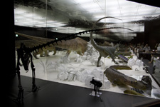 2010�N7���B�e