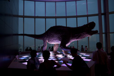 2010�N7���B�e