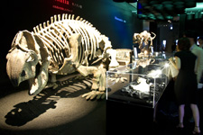 2010�N7���B�e