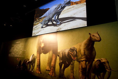 2010�N7���B�e