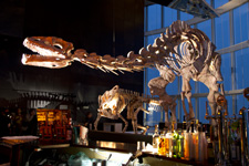 2010�N7���B�e