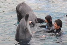 2010�N8����