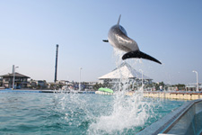 2010�N8����