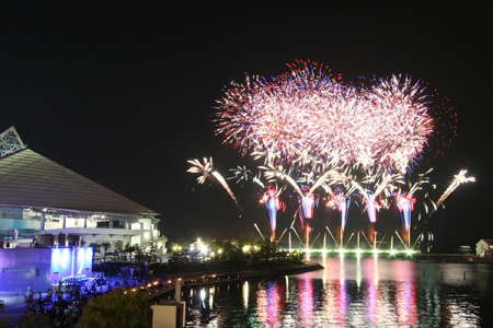 2010�N8����