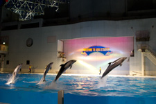 2010�N7���B�e