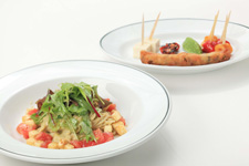 2010�N8����