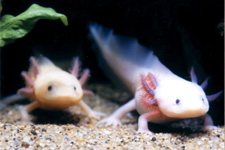 2010�N11����