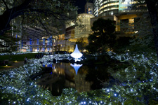 2010�N11���B�e