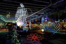 2010�N11���B�e