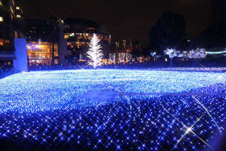 2009�N11���B�e