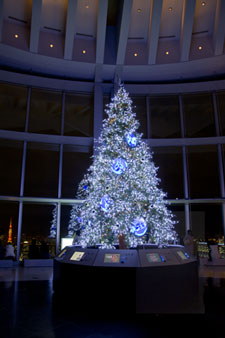 2010�N11���B�e