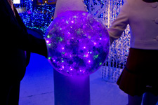 2010�N11���B�e�̃I���W�i���ʐ^