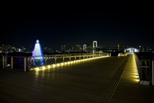 2010年11月撮影のオリジナル写真