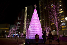 2010�N12���B�e