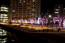 2010�N12���B�e