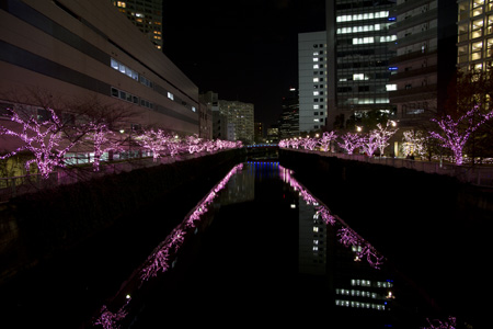 �����f�[�g�i�r,�B�e,�ڍ���,�݂�Ȃ̃C���~�l�[�V����,2010,�s���N�F