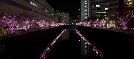 2010�N12���B�e