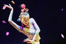 2011�N1��25����