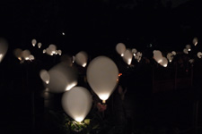 2010�N2���B�e