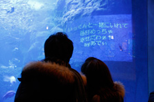 2010�N2���B�e