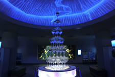 2011�N2����