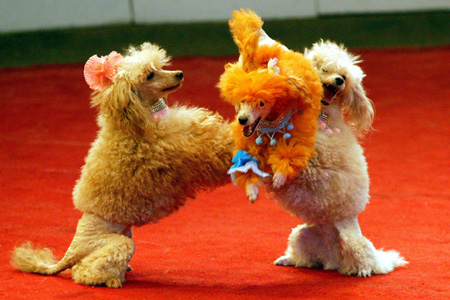 �����f�[�g�i�r,�B�e,,,,