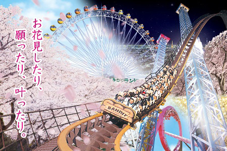 2011�N3����