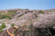 2011�N3����