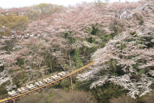 2011�N3����