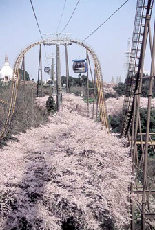 2011�N3����