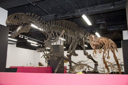 2011�N3���B�e