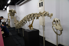 2011�N3���B�e