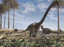 2011�N3����