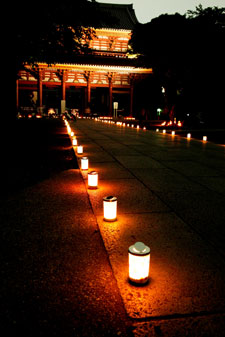 2011�N5����