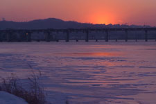 2011�N6����