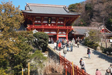 2011�N6����