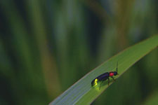 2011�N5����