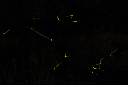 2011�N6���B�e