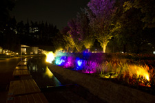 2011年7月14日月撮影