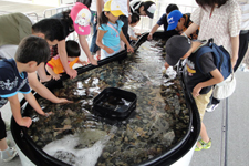 2011�N8����