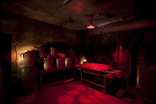 2011�N8����