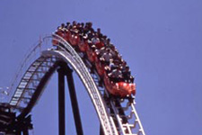 2011�N8����