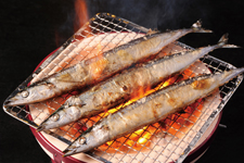 2011�N8����