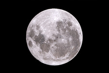 �����N�����B�e