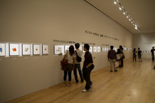 2011�N10���B�e