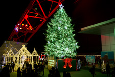 2011�N11��3���B�e