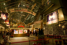 2011�N11���B�e